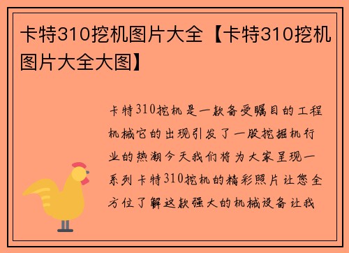 卡特310挖机图片大全【卡特310挖机图片大全大图】