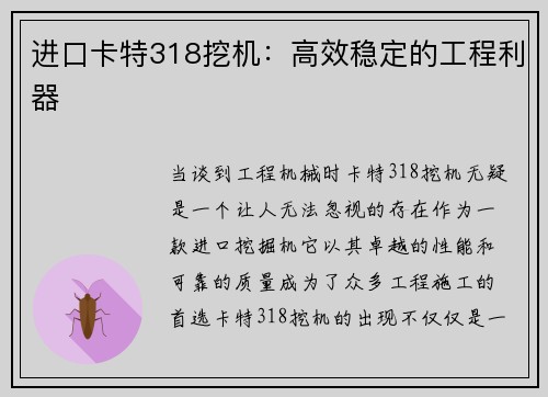 进口卡特318挖机：高效稳定的工程利器